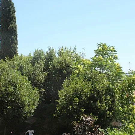 The Pope At The Window Ii